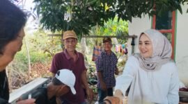 Calon Bupati Barru nomor urut 2, Dokter Ulfah
