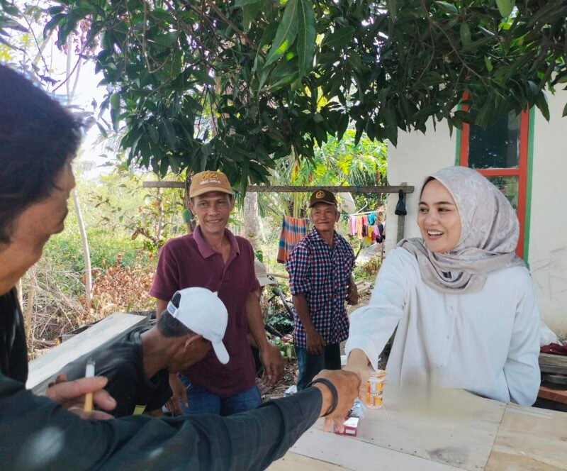 Calon Bupati Barru nomor urut 2, Dokter Ulfah