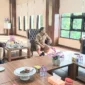Ketua PWI Kota Parepare, Fatahuddin audiensi dengan Wali Kota Parepare Tasming Hamid di ruang kerjanya, didampingi Sekretaris Daerah Parepare, Amarun Agung Hamka. (Foto: ist).