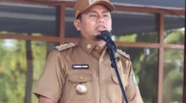 Wali Kota Parepare, Tasming Hamid (Foto: Ist).