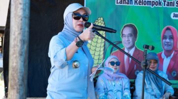 Pemkab Barru Kolaborasi Unhas Pengembangan Sektor Tanaman Jagung