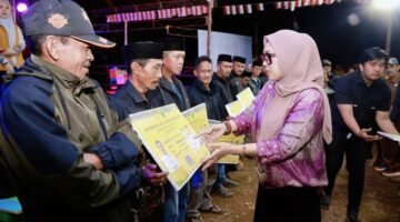 Hasil Panen Padi Gattareng Melonjak, Bupati Barru Apresiasi Kerja Keras Petani